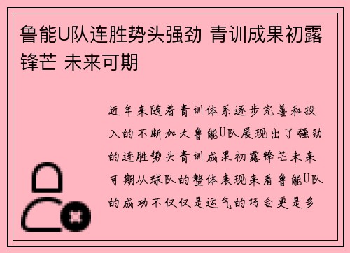 鲁能U队连胜势头强劲 青训成果初露锋芒 未来可期
