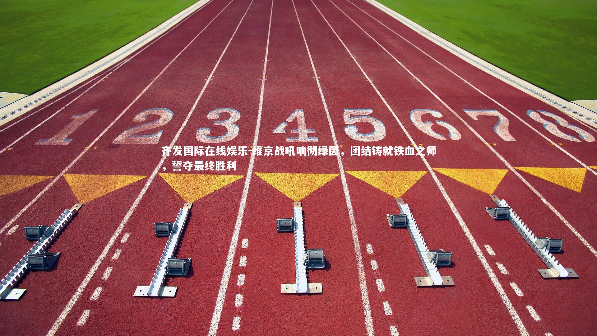 维京战吼响彻绿茵,团结铸就铁血之师,誓夺最终胜利